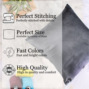Soft Luxurious Velvet Cushion Covers Set of 2, Grey